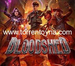 Bloodshed