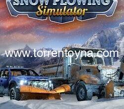 Snow Plowing Simulator
